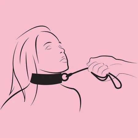 El arte del BDSM, 4 siglas, 4 prácticas.