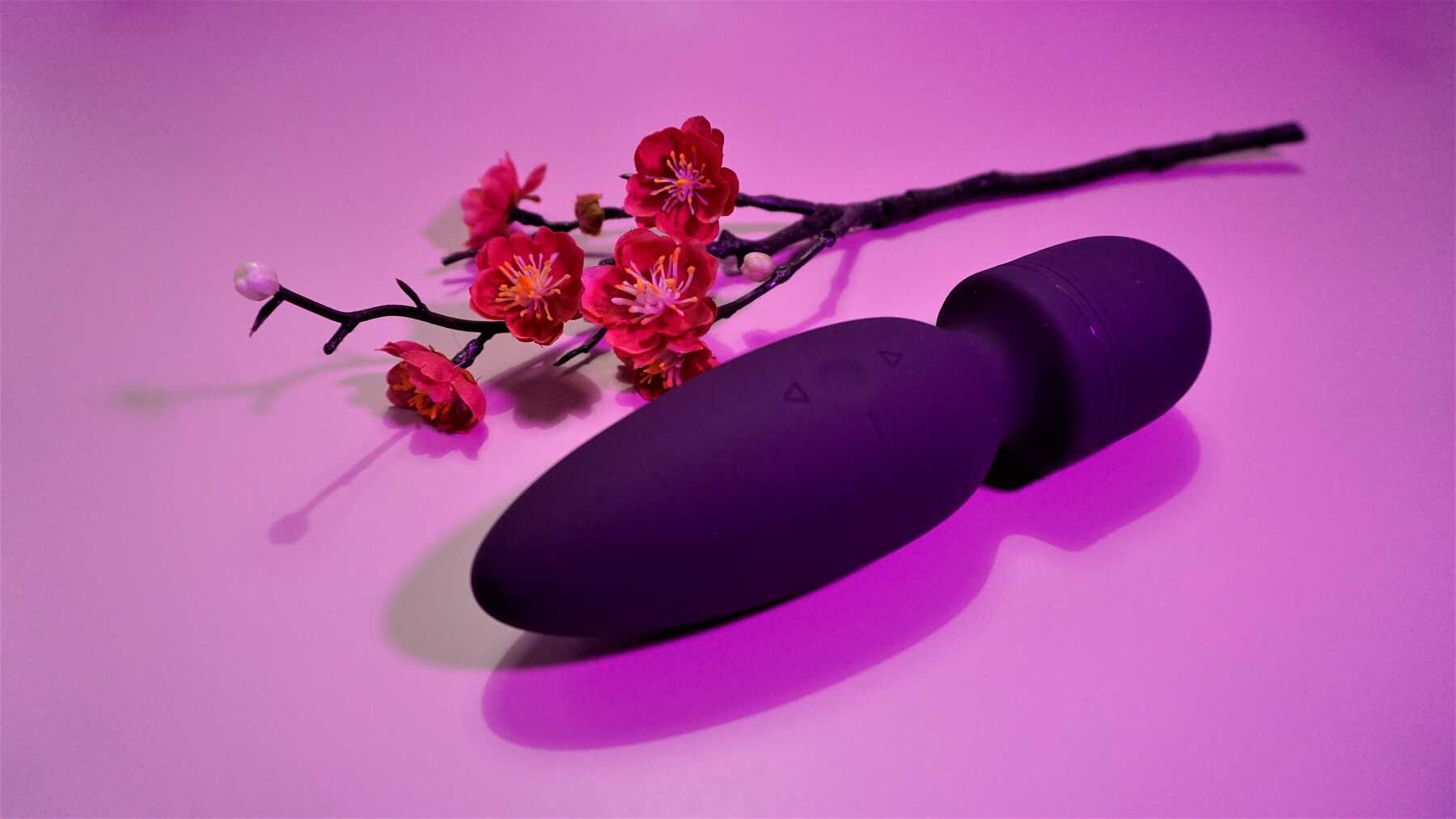 LOS MEJORES MASAJEADORES “WAND” DE 2023