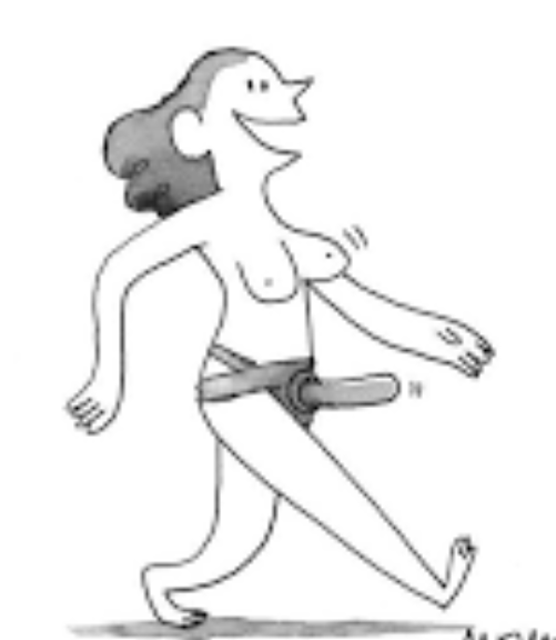 ARNESES SEXUALES | LOS 6 MEJORES